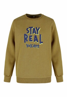 Mikina pro děti Volcano Kids's Regular Sweatshirt B-Andy Junior B01431-S22