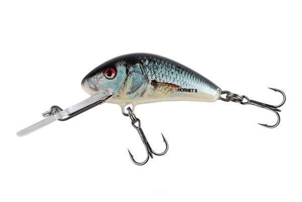 Salmo Wobler Hornet Sinking Real Dace,Salmo Wobler Hornet Sinking Real Dace
