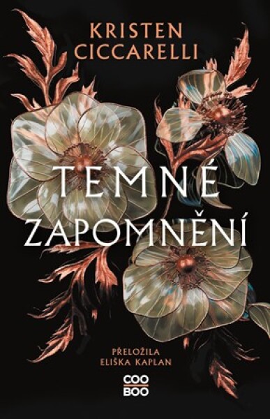 Temné zapomnění