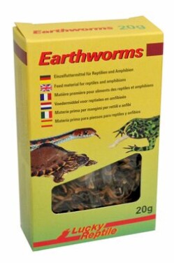Lucky Reptile Earthworms 10g (FP-67832)