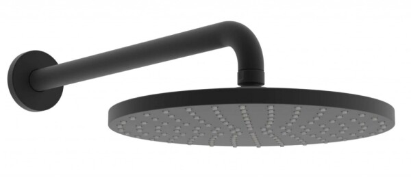 HANSA - Viva Hlavová sprcha, průměr 25 cm, matná černá 4426020033
