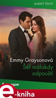 Šéf málokdy odpouští - Emmy Graysonová e-kniha