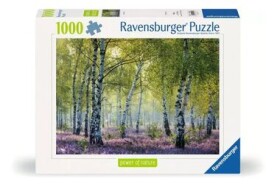 Ravensburger Březový les