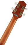 Takamine EGU-T1
