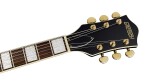 Gretsch G2420TG Streamliner LTD LRL CGR