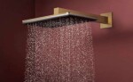 HANSGROHE - Raindance Alive Q Hlavová sprcha, 21x34 cm, 2 proudy, kartáčovaný bronz 24530140