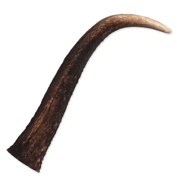 Ontario Jelení paroh XL (214-59207)