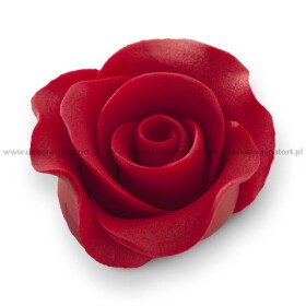 Dortisimo Cukrová dekorace Růže velké bordó (12 ks)