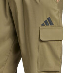 Kalhoty adidas Essentials Small Logo Cargo M JD1824 m