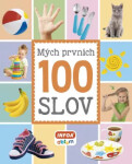 Mých prvních 100 slov