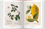 Garden Eden. Masterpieces of Botanical Illustration. 40th Anniversary Edition Hans Walter Lack