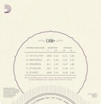 D'Addario EJ60+