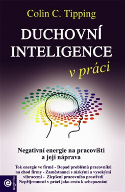 Duchovní inteligence práci Negativní energie na pracovišti její náprava Colin Tipping