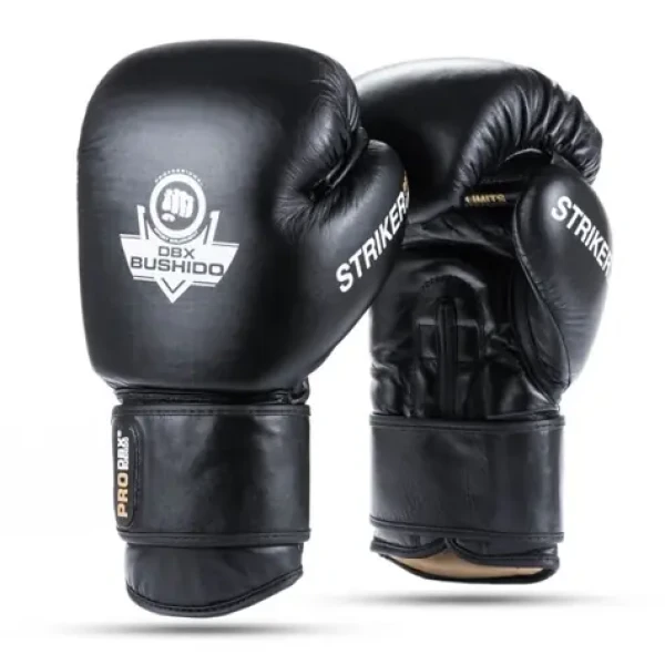 BUSHIDO STRIKER 14 OZ BOXERSKÉ RUKAVICE DBX (30-B3-087)