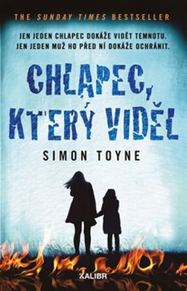 Chlapec, který viděl - Simon Toyne