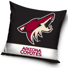 TipTrade TipTrade Polštářek Arizona Coyotes