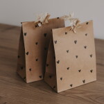 Eulenschnitt Papírový sáček Illustrations 21 × 15 cm – set 6 ks, hnědá barva, přírodní barva, papír