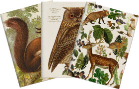 Sada tří notýsků Forest Animals