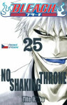 Bleach 25