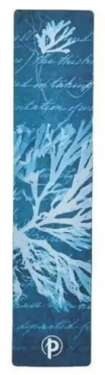 Anna Atkins’ Cyanotypes / Sea Flowers / Bookmark /