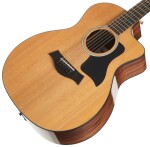 Taylor 254ce Plus