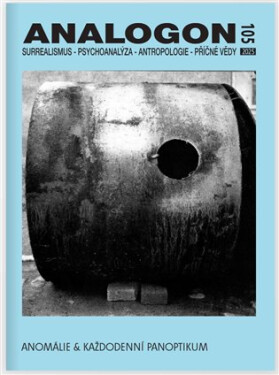 Analogon 105