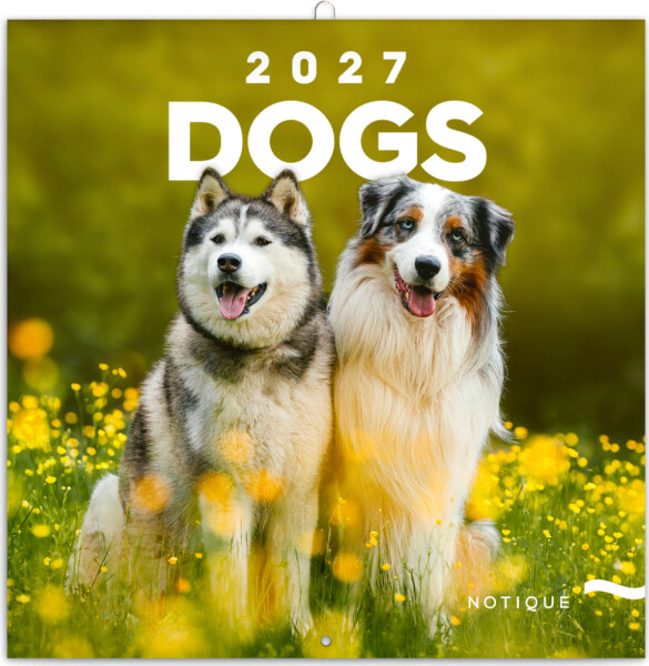 Kalendář 2027 poznámkový: Psi 2027, 30 x 30 cm