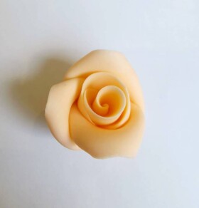 Dortisimo Cukrová růže malá broskvová (49 ks)