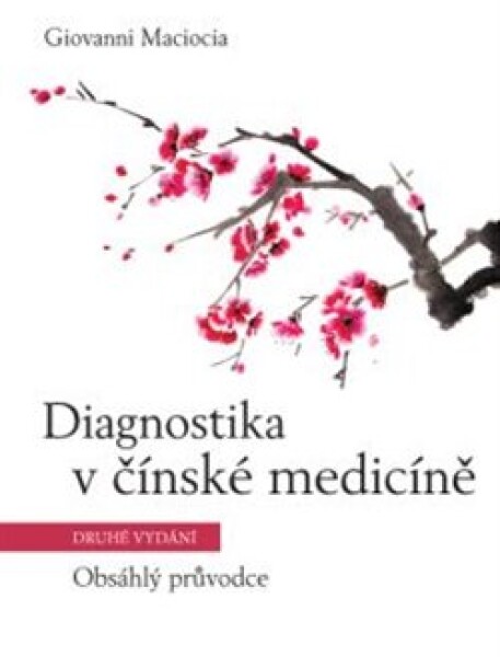 Diagnostika čínské medicíně