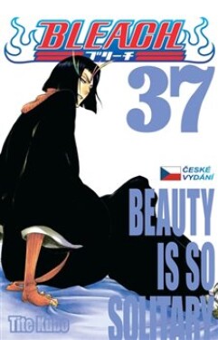 Bleach 37: