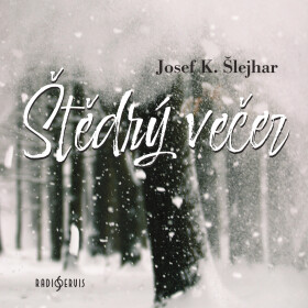Štědrý večer - Josef Karel Šlejhar - audiokniha