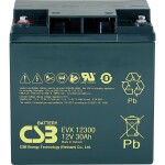 CSB Battery EVX12170 olověný akumulátor 12 V 17 Ah olověný se skelným rounem (š x v x h) 181 x 167 x 76 mm šroubované M5