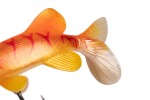 Fox Rage Gumová nástraha Ultra Realistic Replicant Pike Golden Pike - 15cm 39g,Fox Rage Gumová nástraha Ultra Realistic Replicant Pike Golden Pike -
