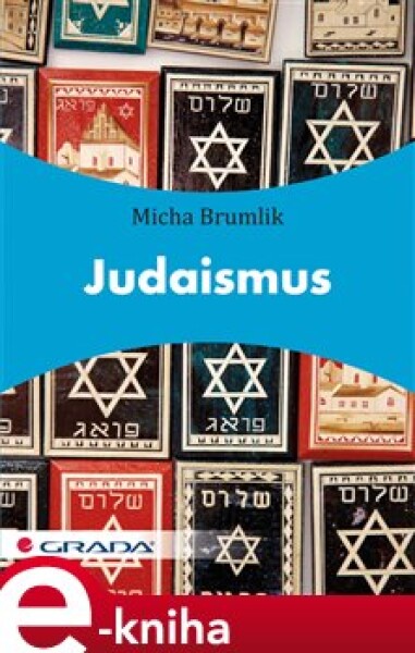 Judaismus - Brumlik Micha e-kniha