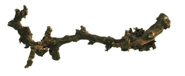 Lucky Reptile Grapevine - tmavý S 30-45 cm (FP-64170)