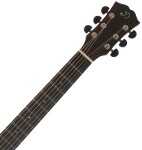 Dowina Danubius DCE-LB StagePro