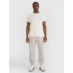 Pánské tričko s potiskem 4F 4FWSS25TTSHM1980-11S XL