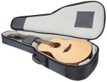 Ibanez PA230E Natural