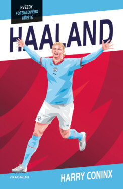 Hvězdy fotbalového hřiště - Haaland - Harry Coninx - e-kniha