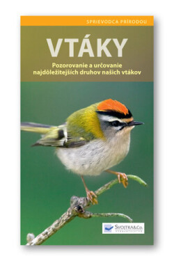 Vtáky