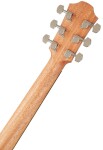 Furch Blue Dc-SW 43mm