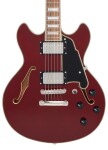 D'Angelico Premier Mini DC Burnt Red
