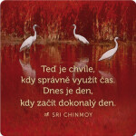 Korkový podtácek s citátem Teď je chvíle, kdy správně využít čas. Dnes je den, kdy začít dokonalý den - Sri Chinmoy