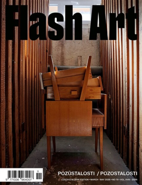 Flash Art 79