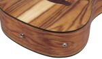 Ibanez V40WSCE Brown