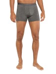 Pánské merino boxerky ICEBREAKER Mens 125 Cool-Lite Anatomica Boxers, Gritstone Heather velikost: S