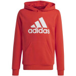Mikina adidas Big Logo Hoodie Jr IX9531 128