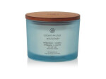 Vonná svíčka CHESAPEAKE BAY CANDLE Reflection & Clatiry 312g / 3 knoty