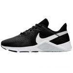 Dámské tréninkové boty Legend Essential 2 W CQ9545 001 - Nike 35,5