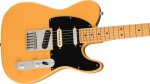 Fender Player Plus Nashville Telecaster MN BTB